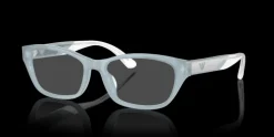 Emporio Armani 0EA3238U 6096 Glasögonbåge