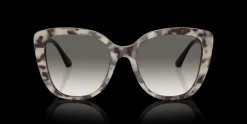 Emporio Armani 0EA4214U 605811 Solglasögon