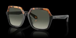 Giorgio Armani 0AR8319U 587519 Solglasögon