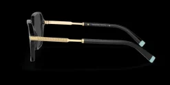 Tiffany & Co. 0TF2222 5216 Glasögonbåge