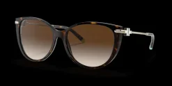 Tiffany & Co. 0TF4178 80153B Solglasögon