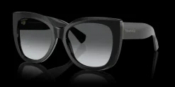 Tiffany & Co. 0TF4229 8001T3 Solglasögon