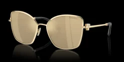 Tiffany & Co. 0TF3102B 614903 Solglasögon