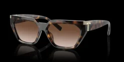 Tiffany & Co. 0TF4205U 80153B Solglasögon