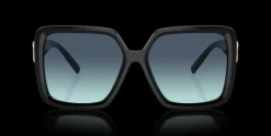 Tiffany & Co. 0TF4206U 80019S Solglasögon